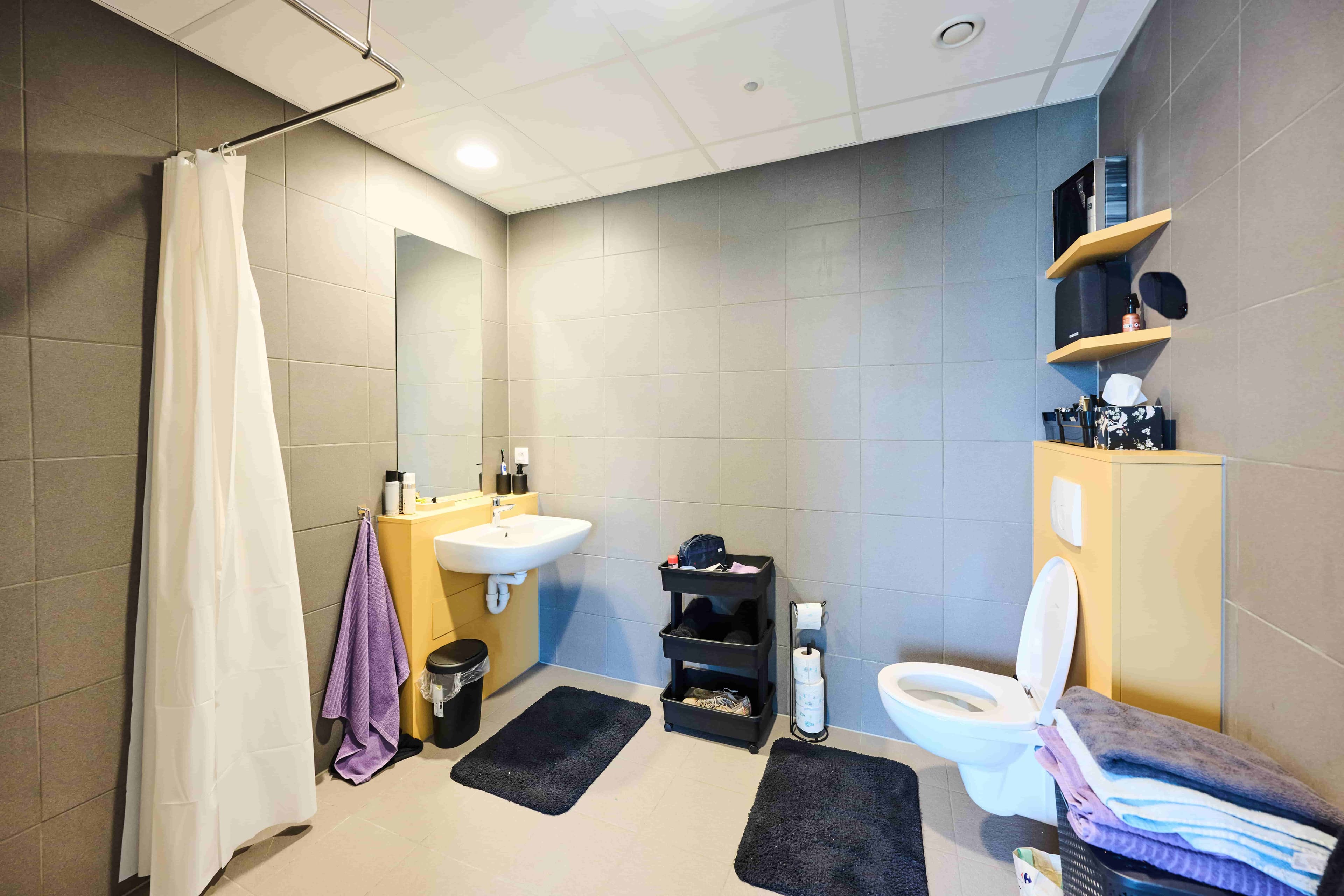 Adapted bathroom with walk-in shower and lowered sink
