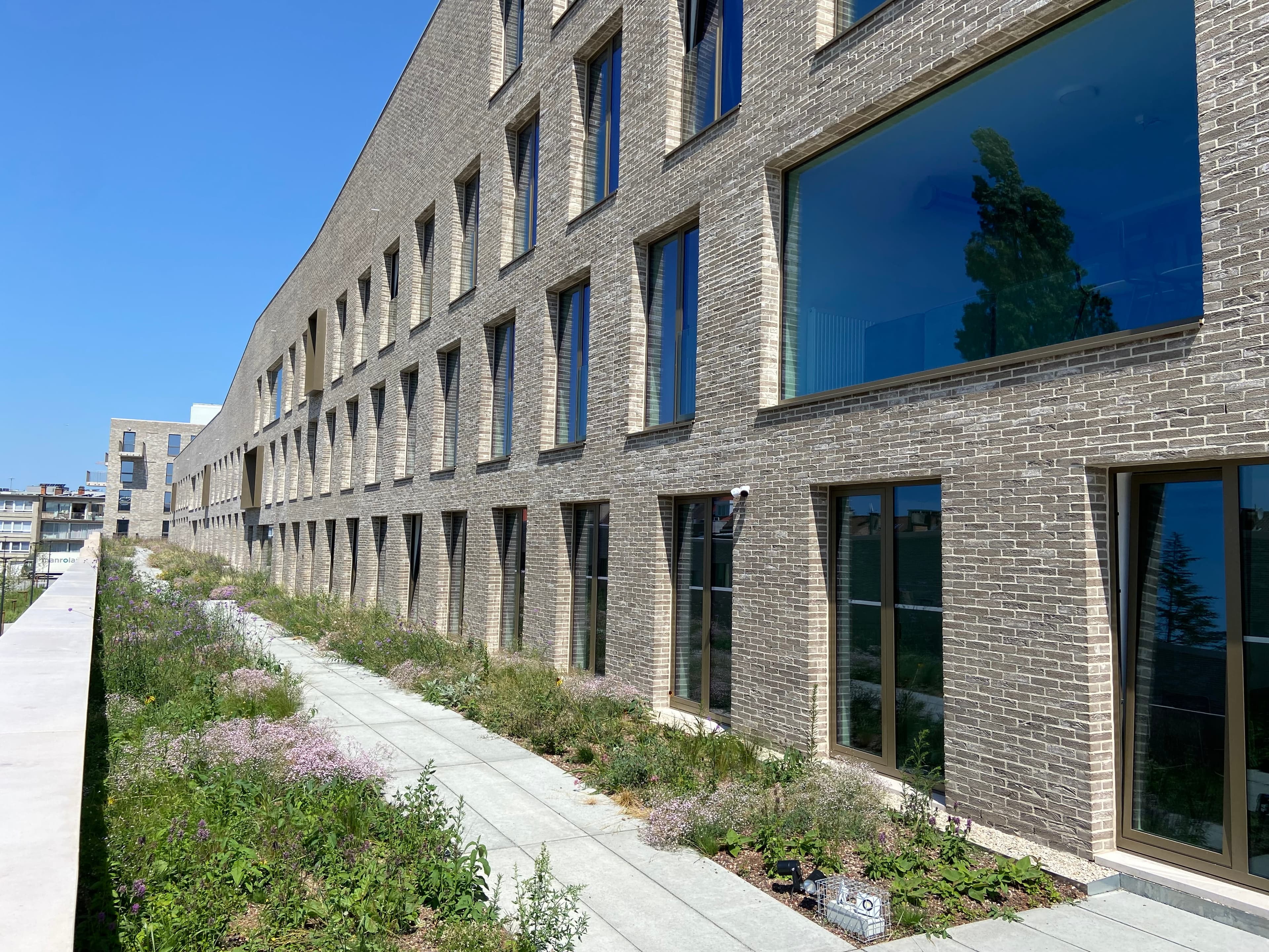 Outdoor sun terrace at CityCampus
